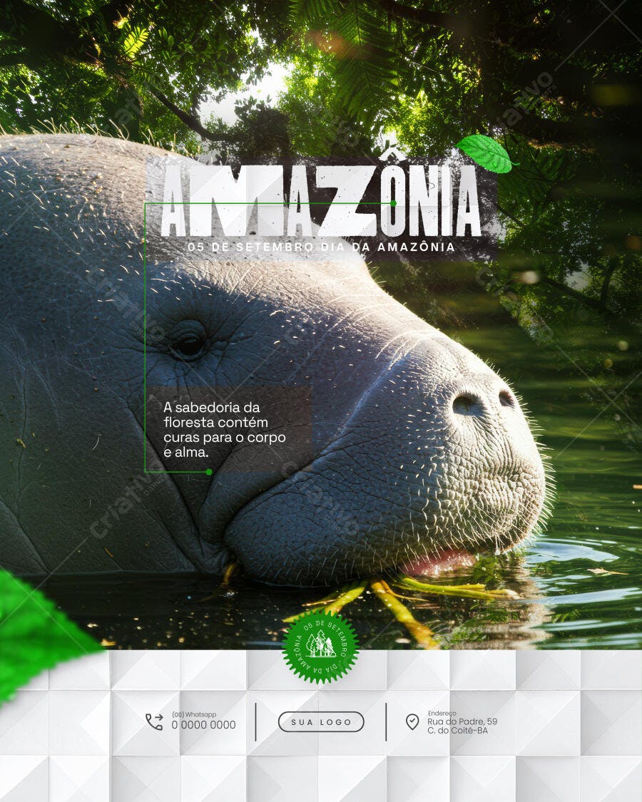 Flyer Dia da Amazônia PSD Editável