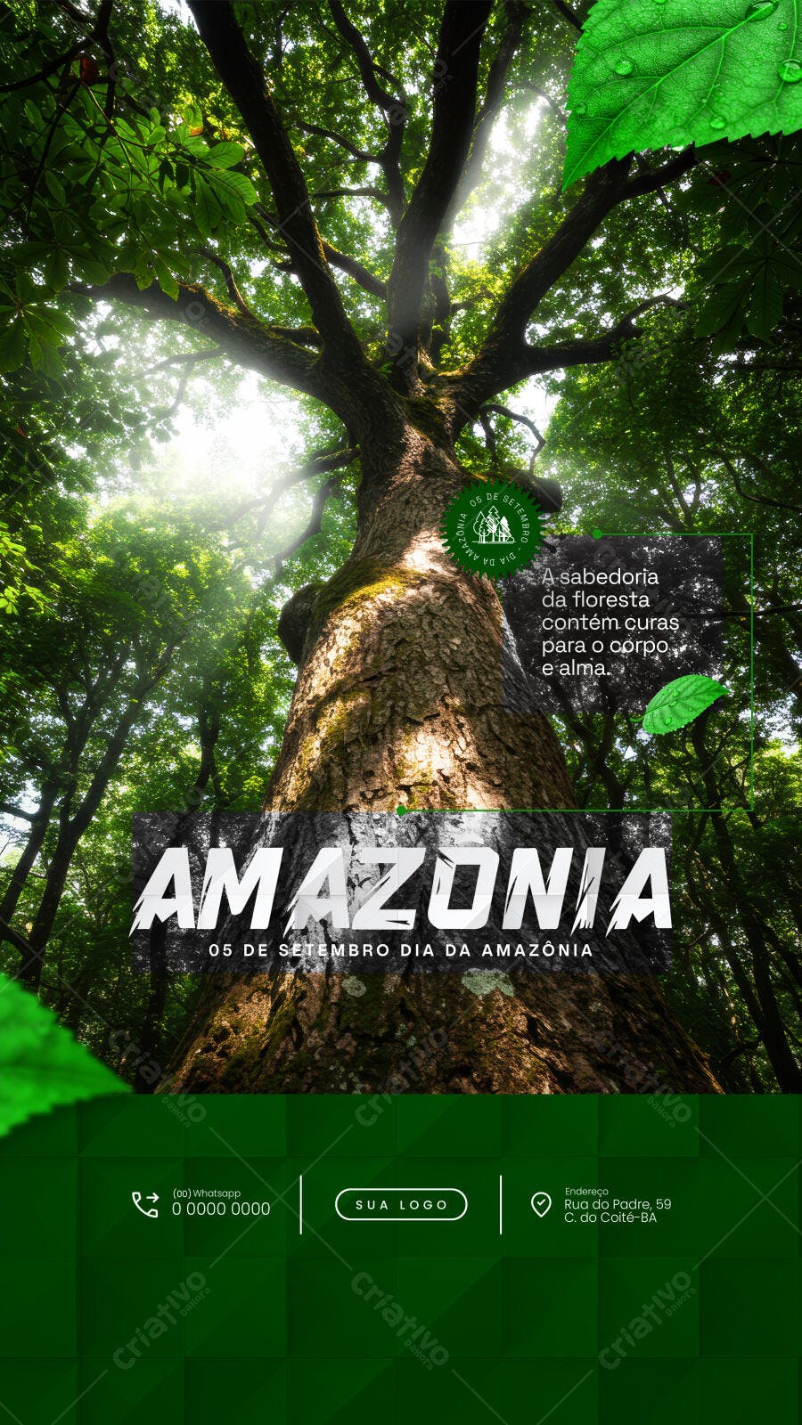Flyer Dia da Amazônia PSD Editável