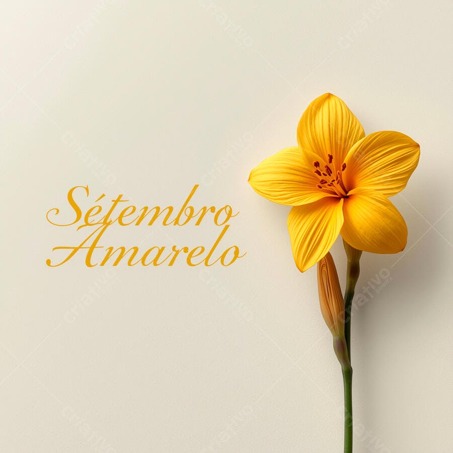 Flor amarela Setembro Amarelo