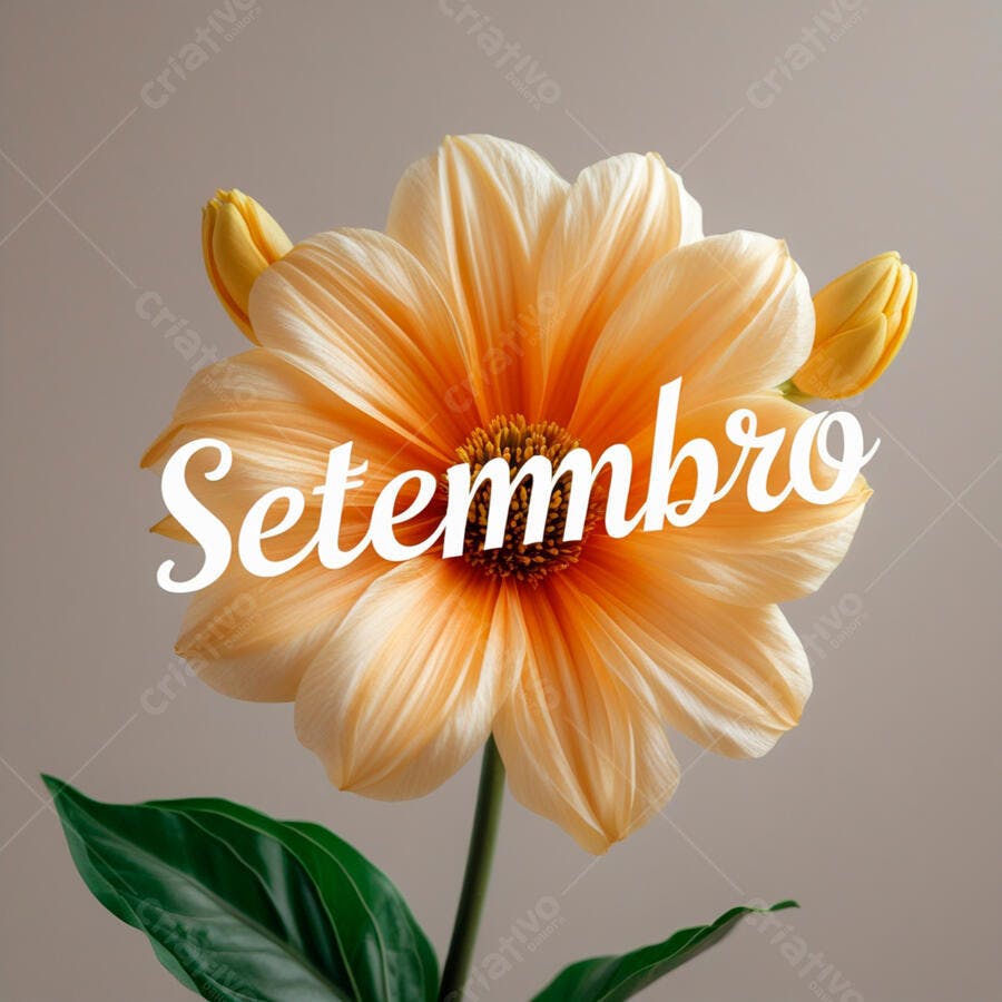 Flor de Setembro tons pastel