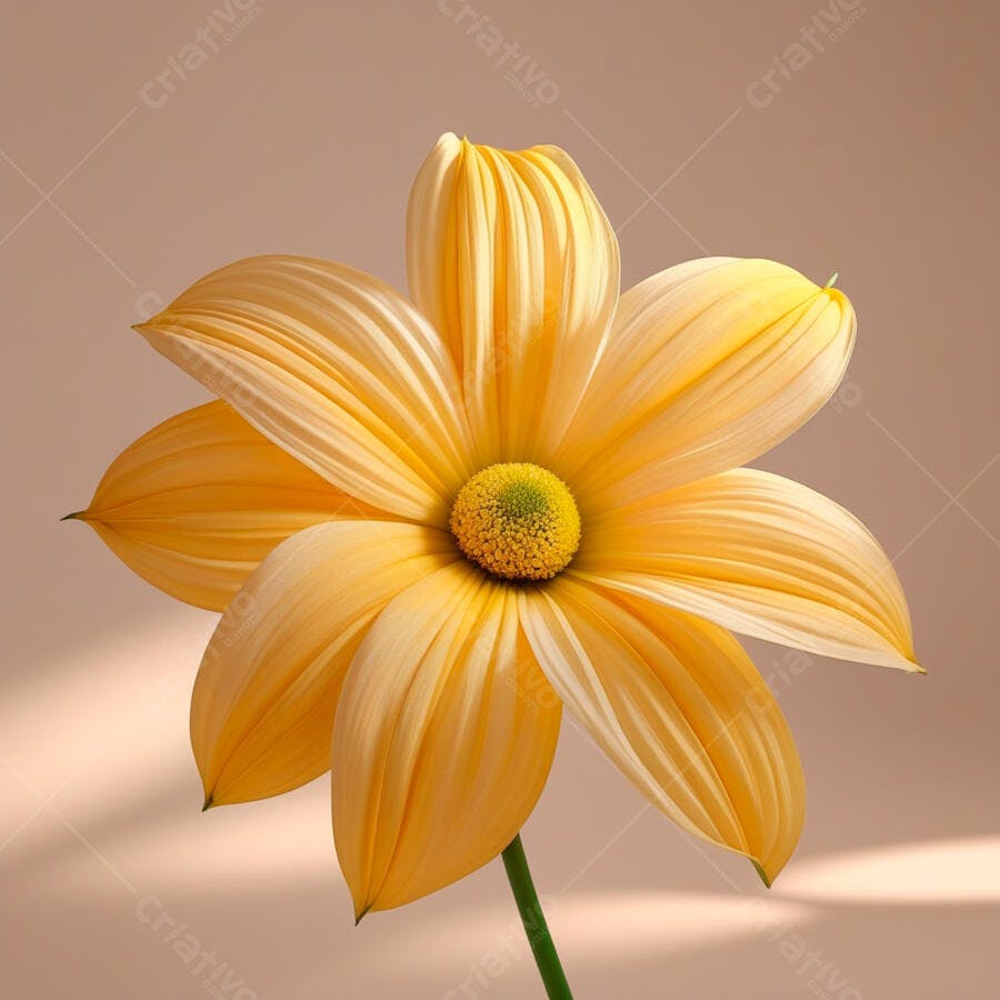 Flor amarela em fundo bege claro