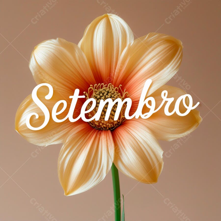 Flor de Setembro tons pastel