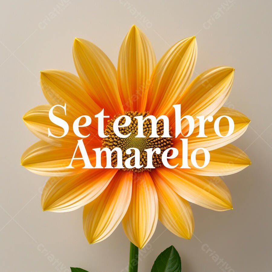 Flor amarela Setembro Amarelo