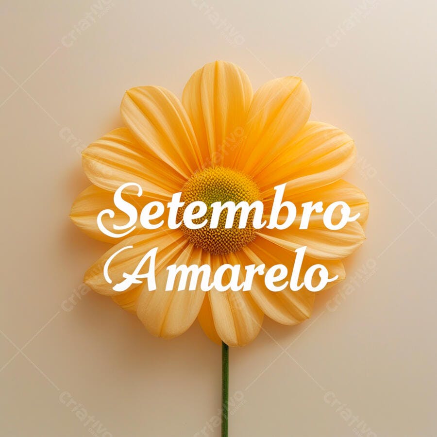 Flor amarela Setembro Amarelo
