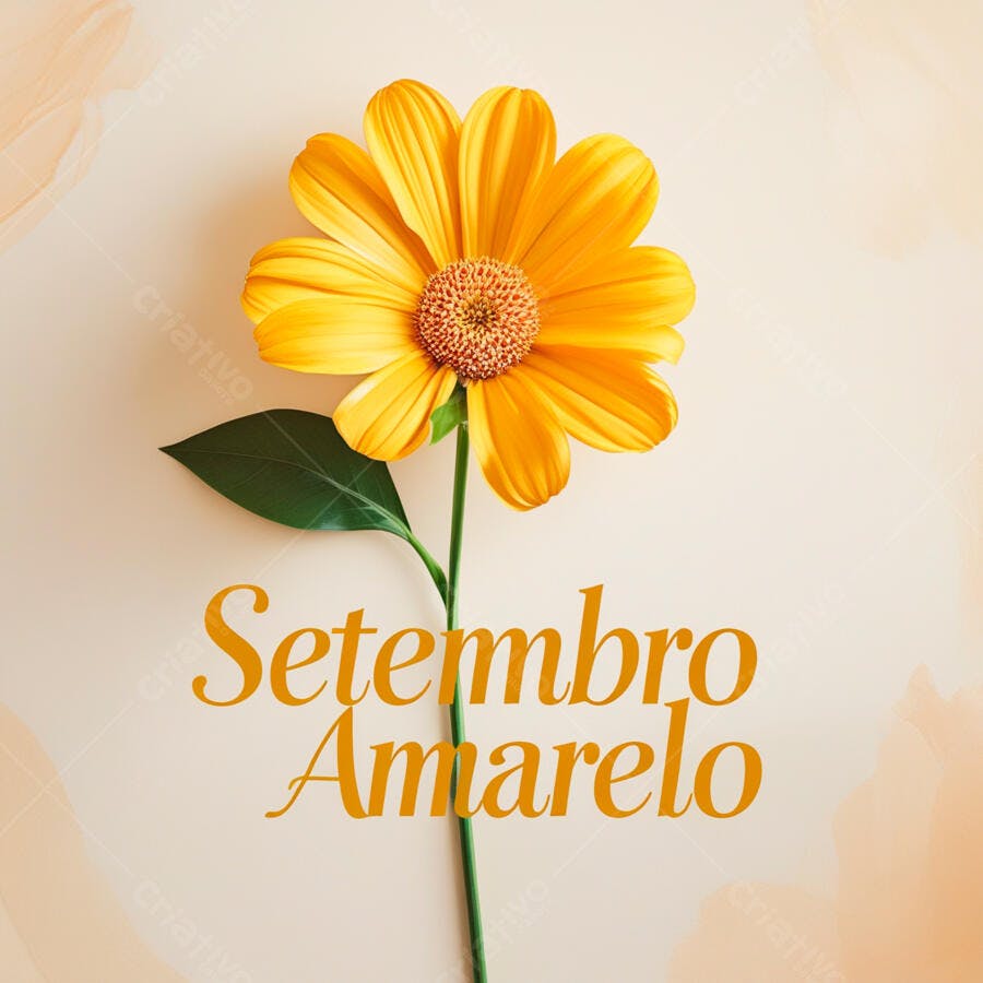 Flor amarela Setembro Amarelo