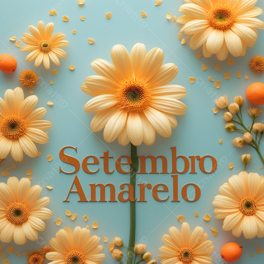 Setembro Amarelo Gerbera Flores Amarelas
