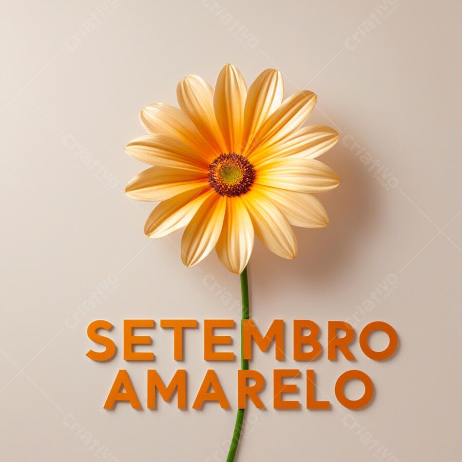 Flor amarela Setembro amarelo