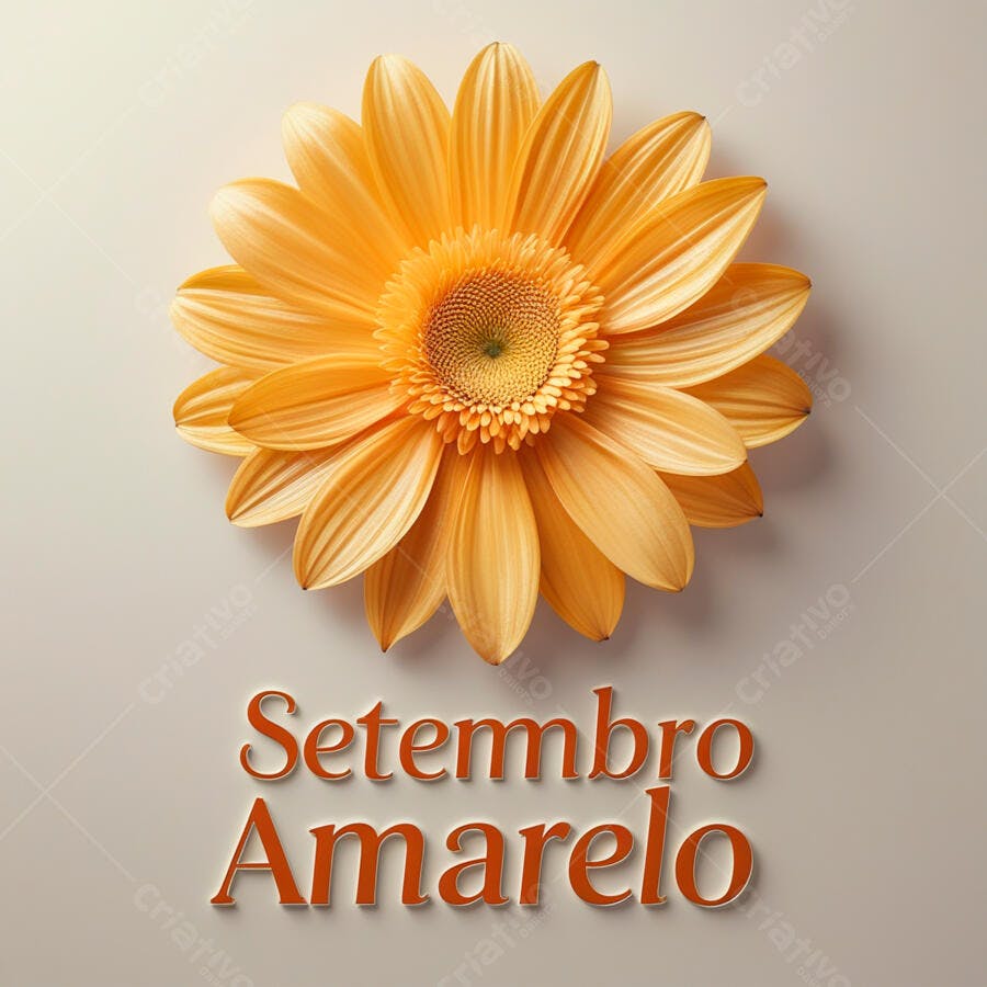 Gerbera amarela Setembro Amarelo
