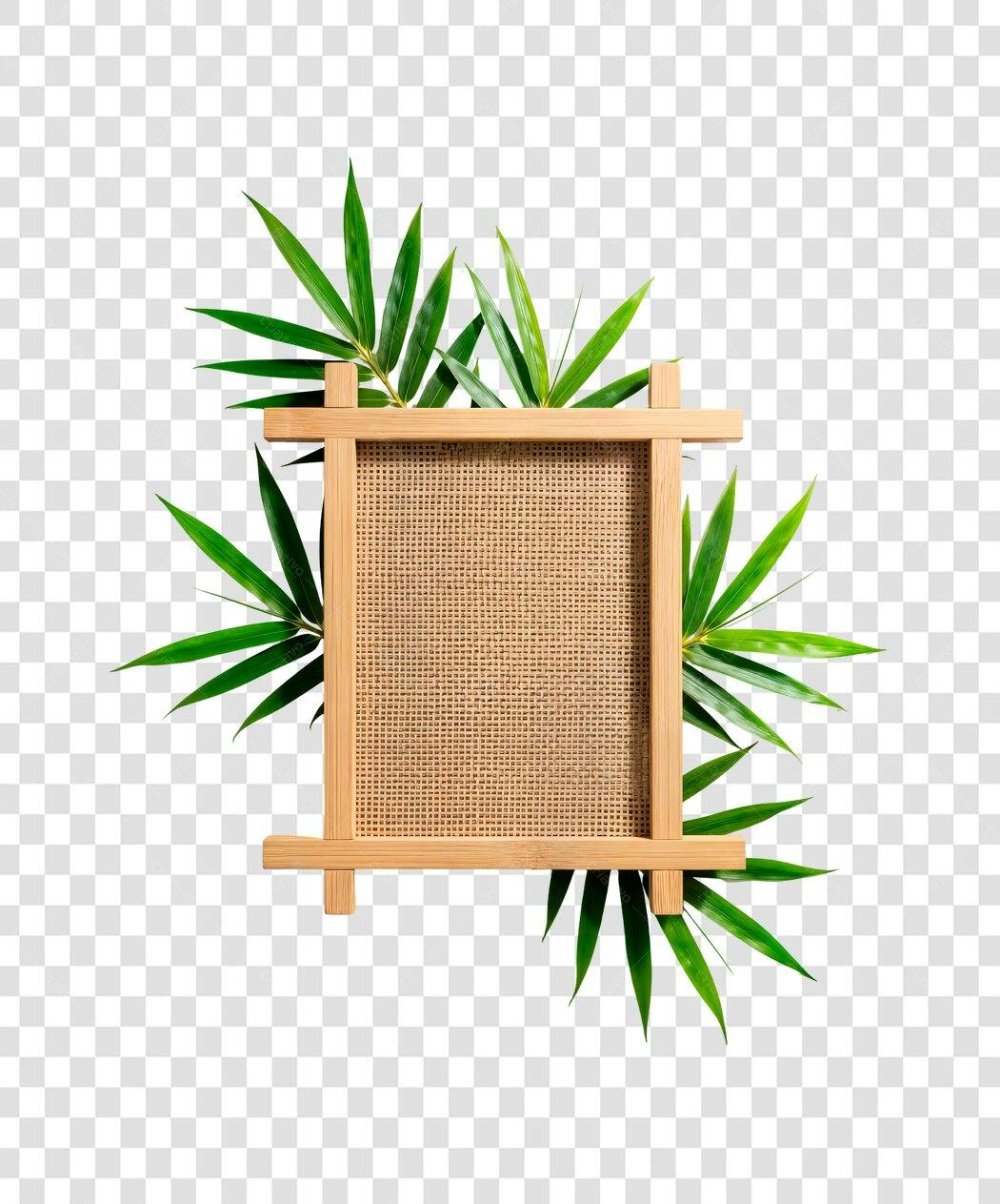 Quadro de bambu com folhas PNG com fundo transparente