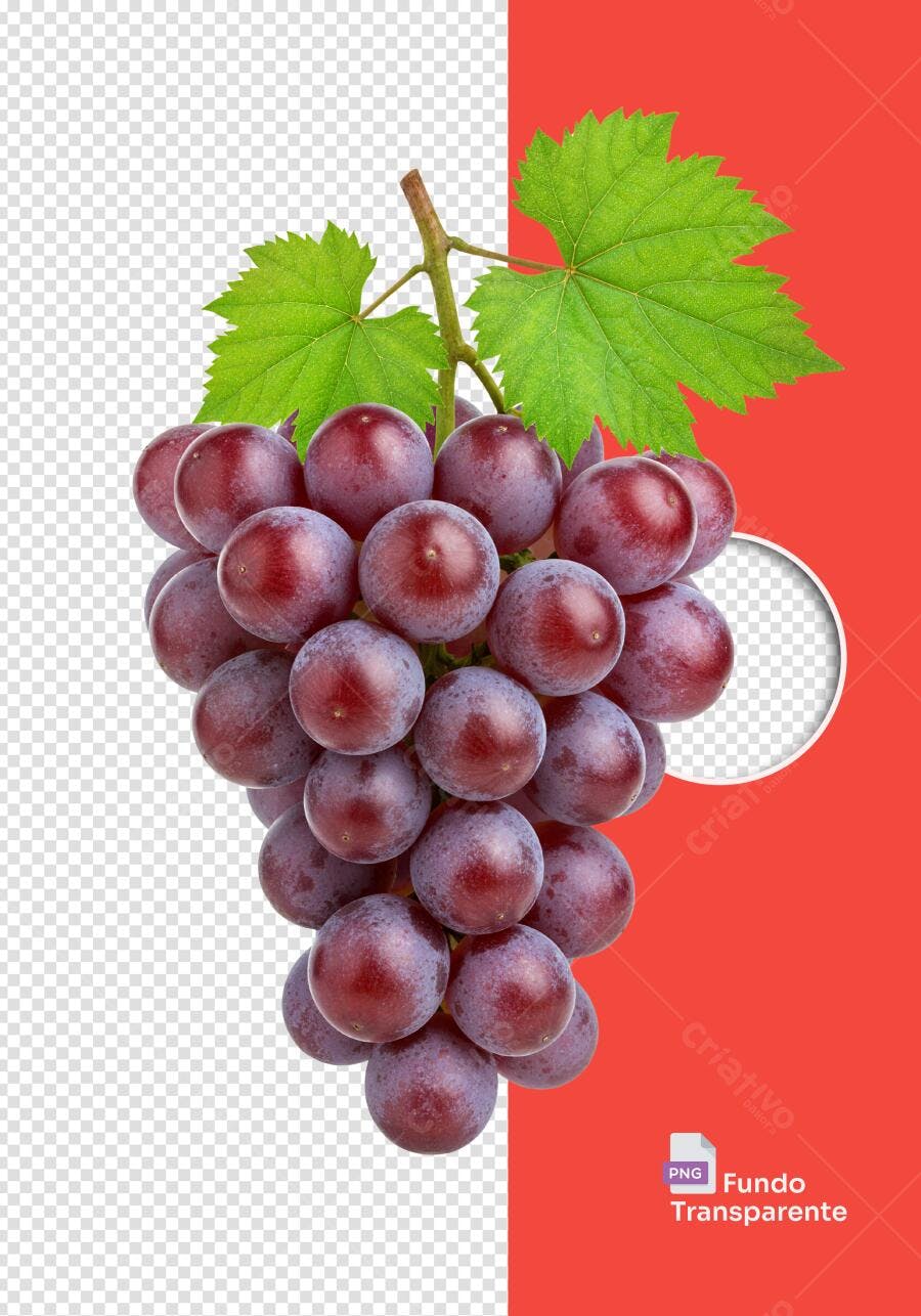Elemento Gráfico Cacho de Uvas Roxas Frescas PNG com fundo transparente
