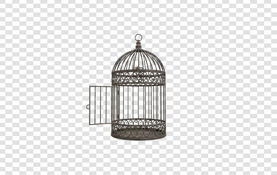 Elemento Decorativo Gaiola Antiga com Porta Aberta PNG com fundo transparente