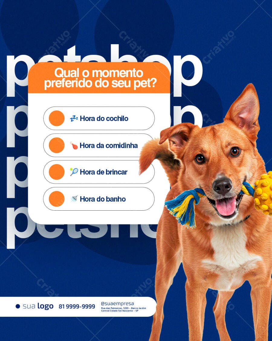 Post para Pet Shop Qual o Momento Preferido do Seu Pet PSD Editável