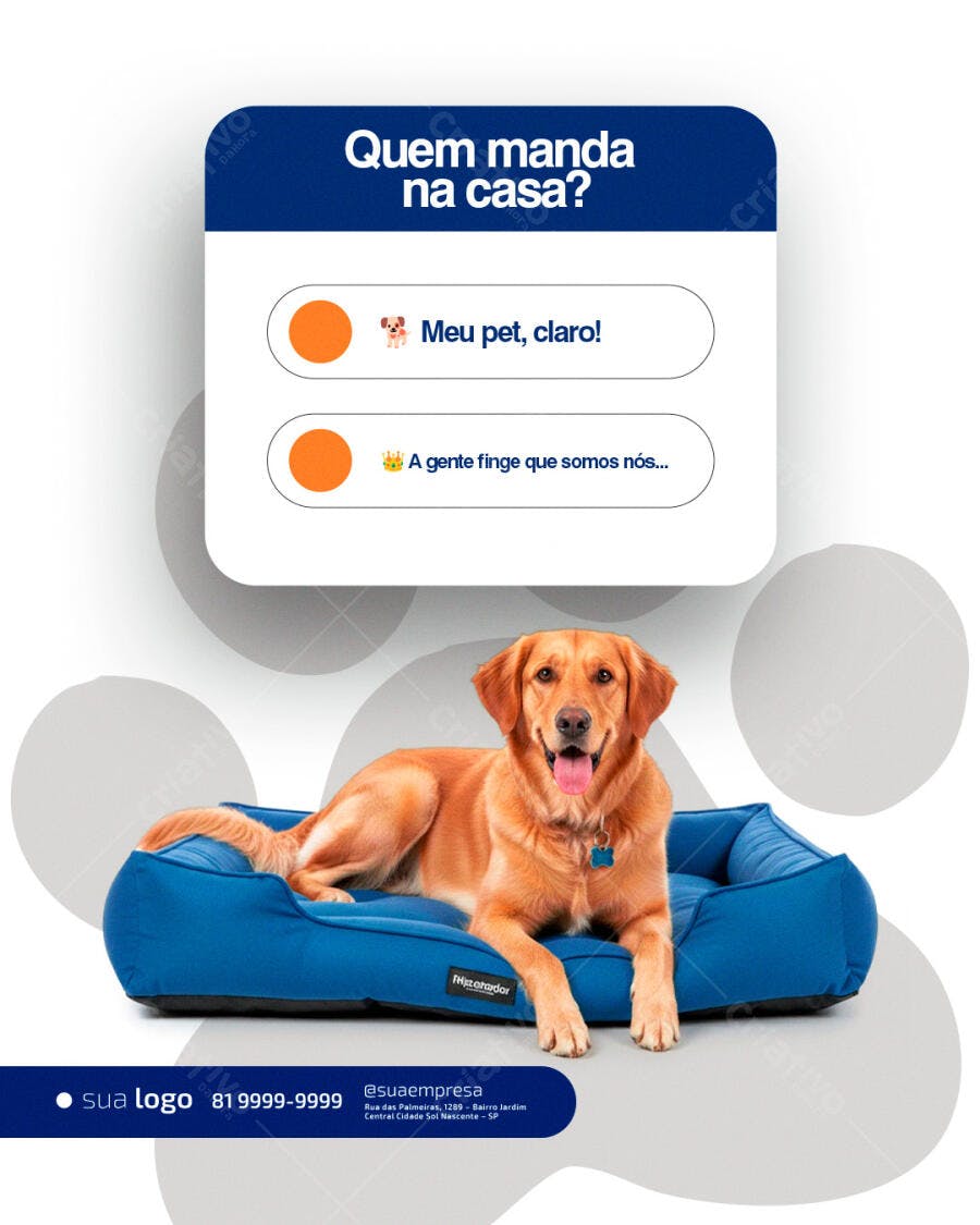 Post para Pet Shop Quem Manda na Casa com Golden Retriever PSD Editável