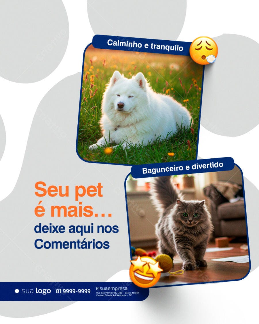 Psd para Redes Sociais "Seu Pet é Mais" Calmo ou Bagunceiro Psd Editável