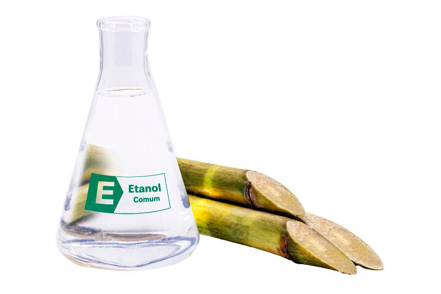 Etanol comum em frasco de laboratório e cana-de-açúcar verde