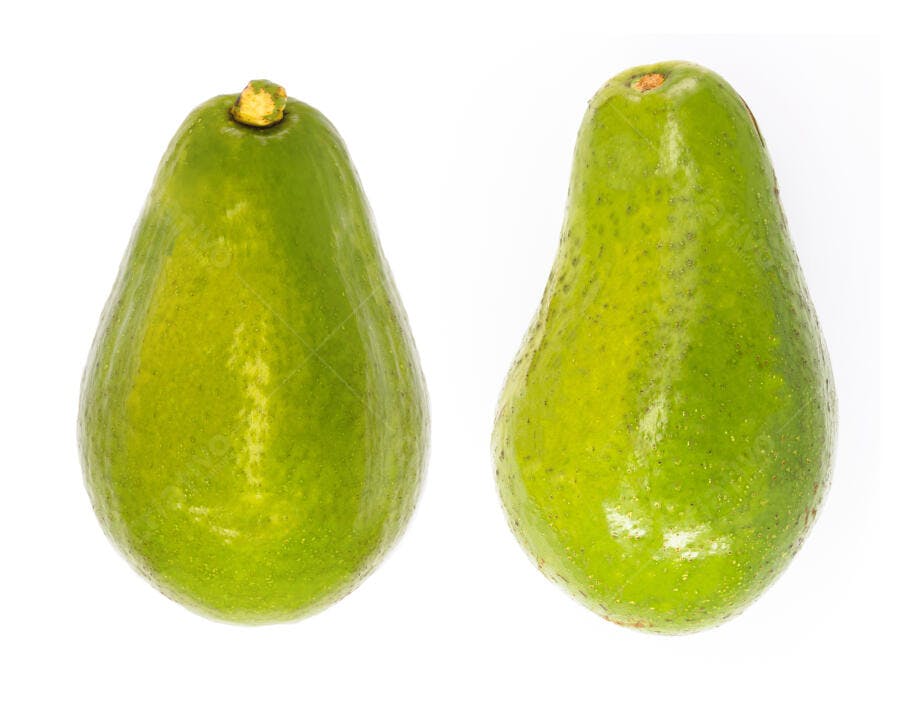 Dois abacates verdes frescos inteiros isolados em fundo branco