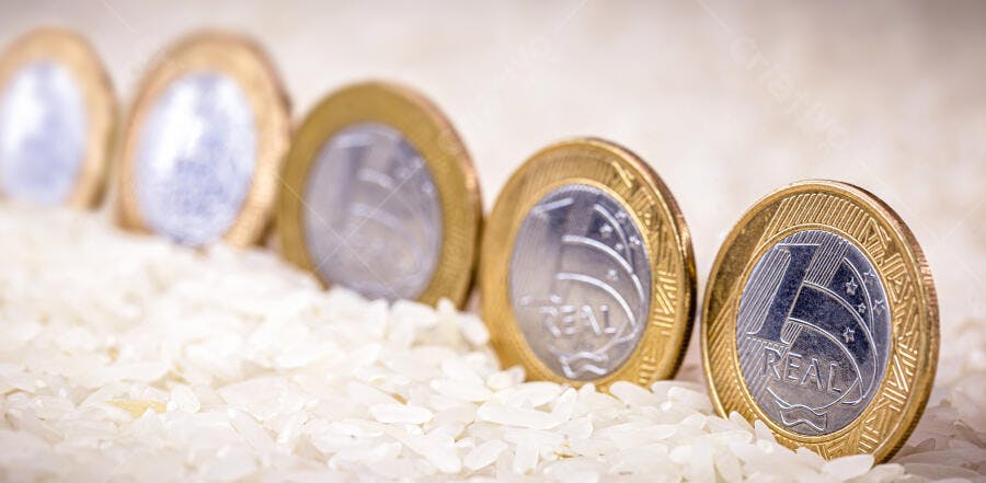 Moedas de 1 Real brasileiras em grãos de arroz branco
