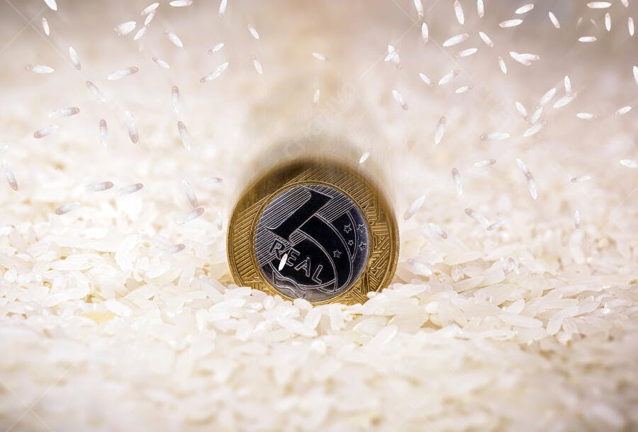 Moeda de 1 Real brasileiro dourada e prateada em arroz branco com grãos caindo