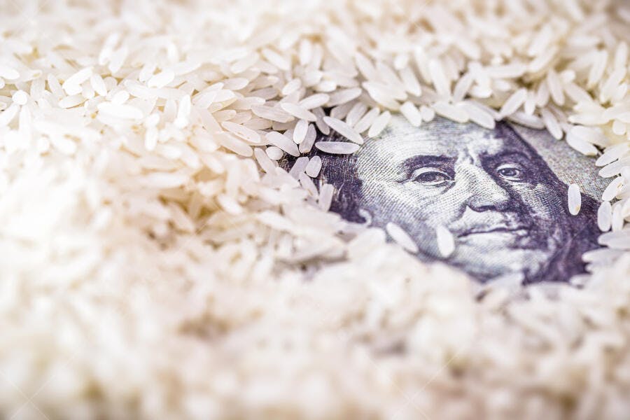 Dinheiro dólar americano e arroz branco crú em close-up macro