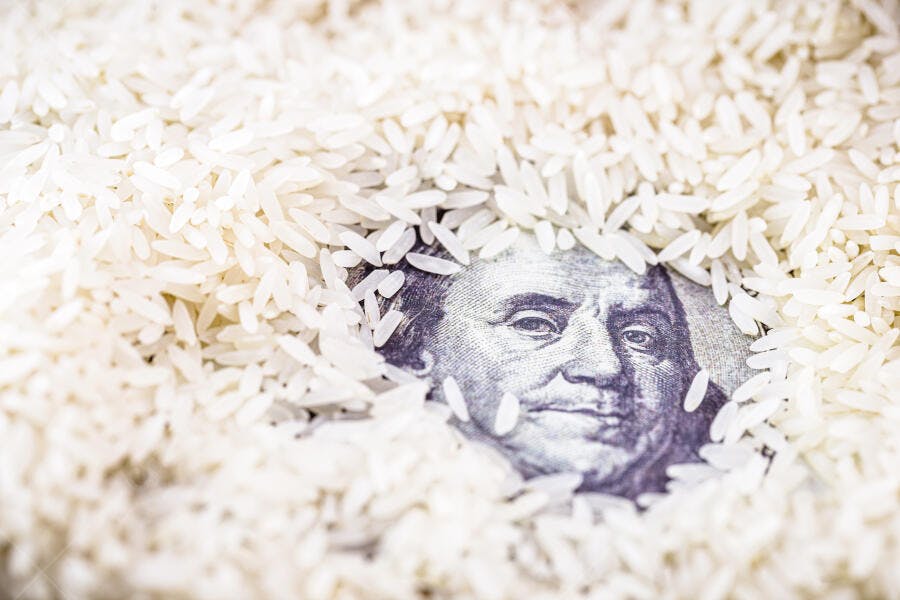 Nota de cem dólares de Benjamin Franklin envolta em arroz branco