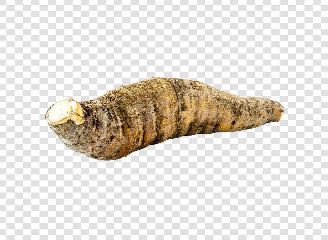 Alimento Mandioca Raiz Marrom PNG com fundo transparente