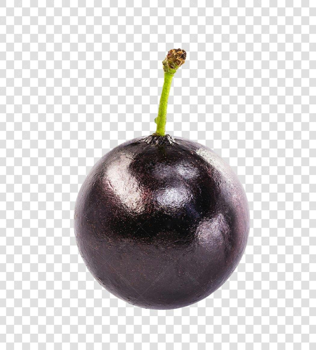 Fruta Jabuticaba roxa escura com talo verde PNG com fundo transparente