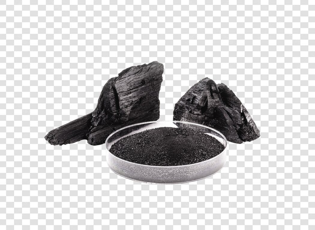 Carvão Vegetal em Pedaços e Pó em Placa de Petri PNG com fundo transparente
