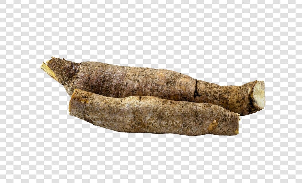 Objeto mandioca raiz natural para culinária PNG com fundo transparente