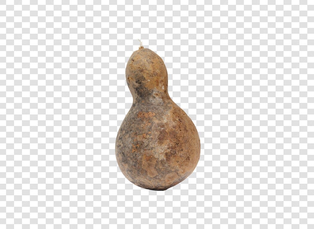 Elemento Gráfico Cabaça Natural Rústica Seca PNG com fundo transparente