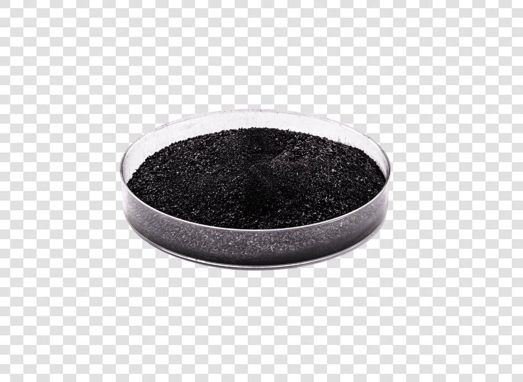 Grânulos de pó preto em placa de petri PNG com fundo transparente