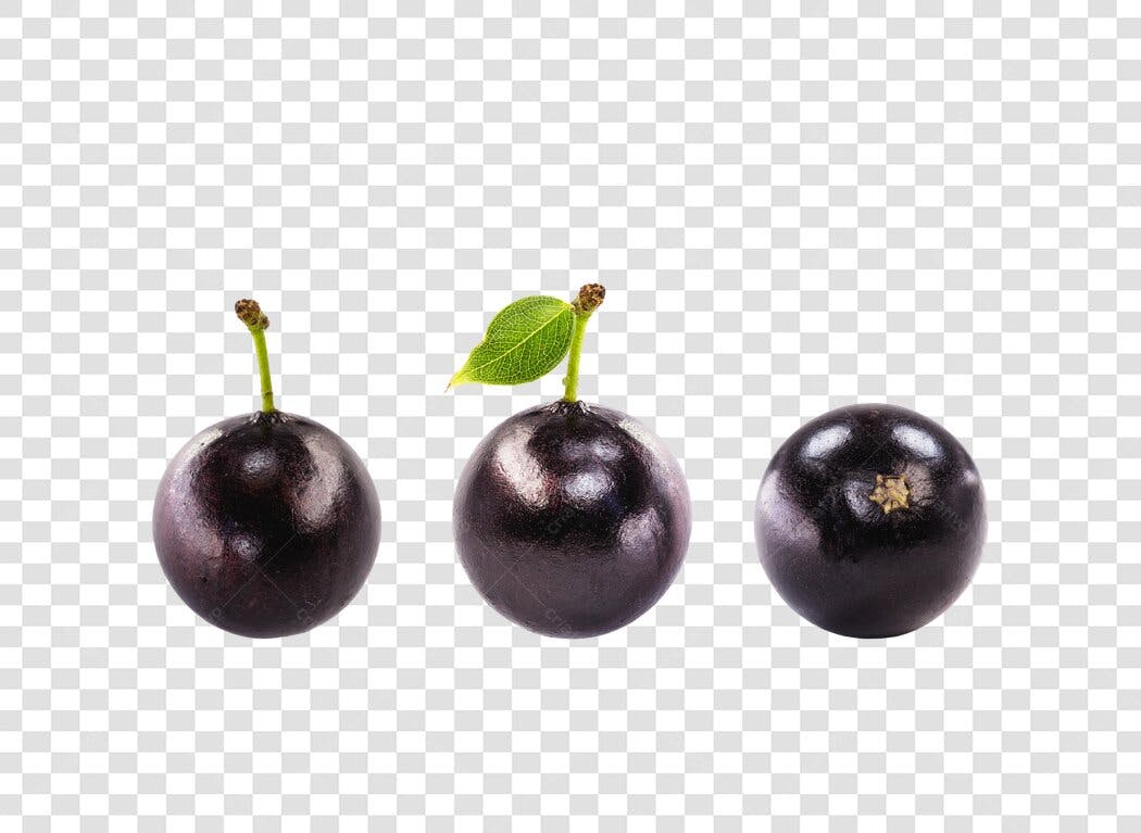 Recurso visual Jabuticaba fruta fresca escura PNG com fundo transparente