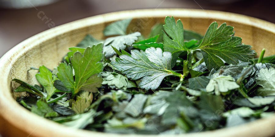 Salsa fresca verde em tigela de madeira rústica para temperar alimentos