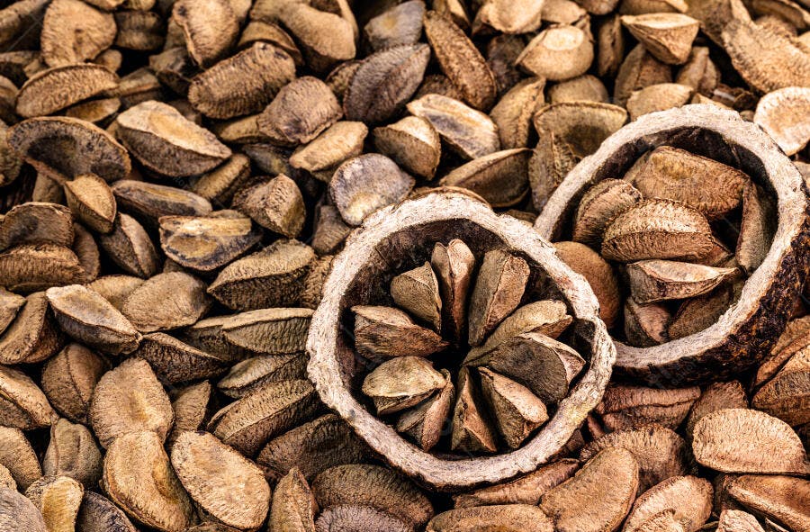Castanhas-do-Pará em casca com cápsulas abertas em fundo marrom