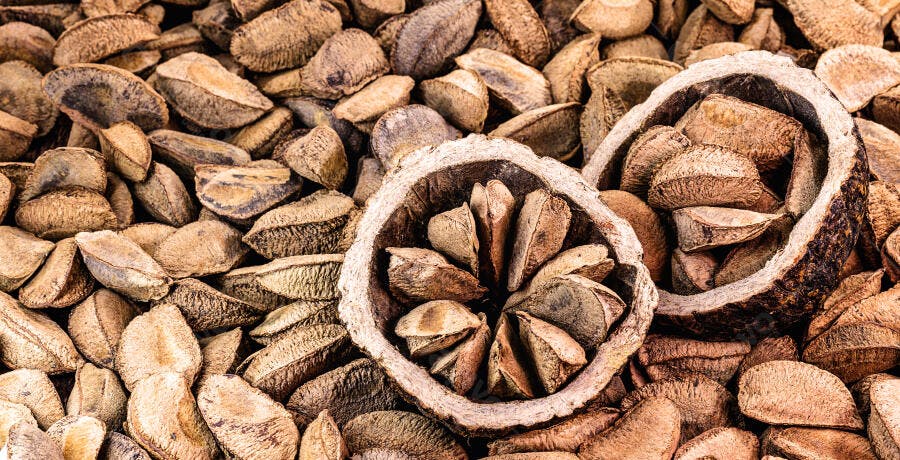 Castanhas do Pará em casca e cocos abertos com textura rústica marrom e bege