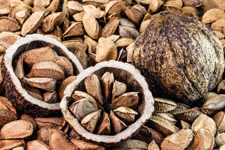 Castanhas-do-Pará inteiras e abertas com ouriço natural em tons terrosos