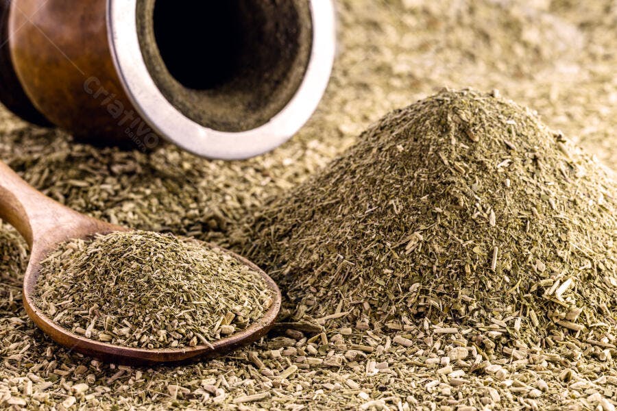 Erva-mate em colher de pau e pilha com cuia de chimarrão ao fundo