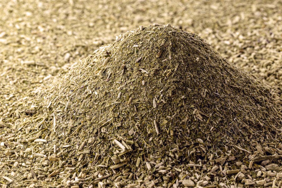 Monte de erva mate verde para chimarrão closeup produto natural organico