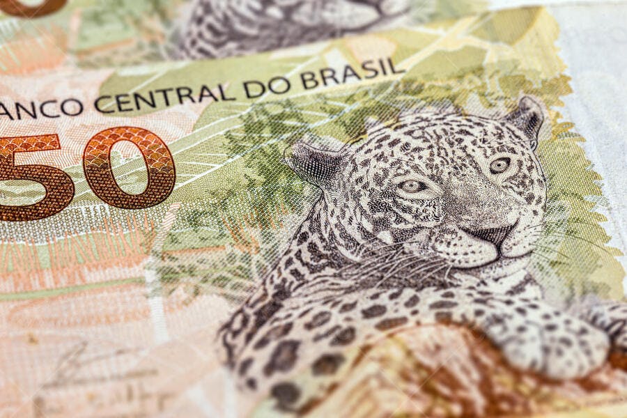 Dinheiro brasileiro nota de 50 Reais em close com onça pintada