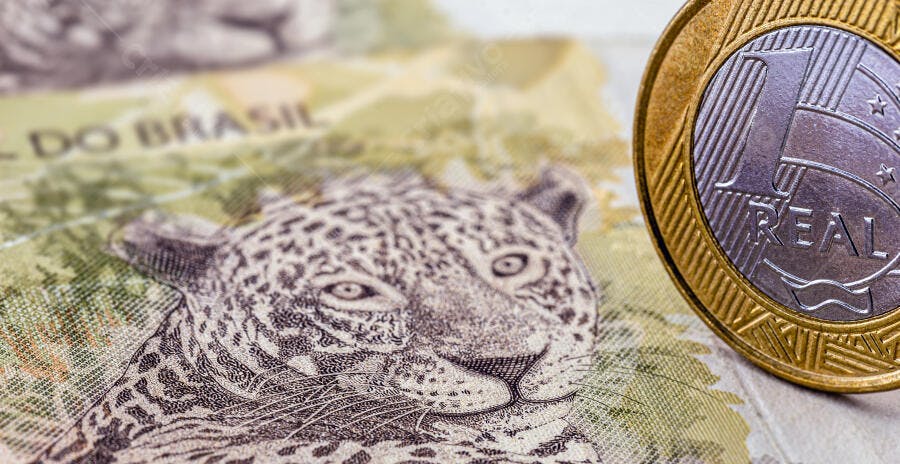 Moeda brasileira com nota de cinquenta reais e onça pintada em close-up