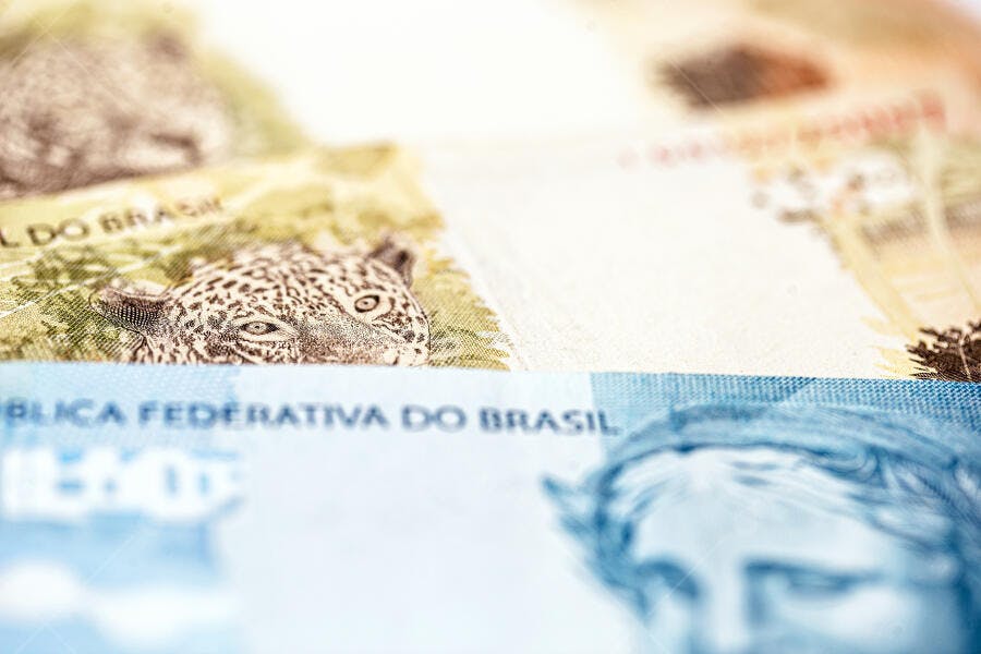 Notas de Real brasileiro detalhe onça-pintada Efígie da República economia verde azul