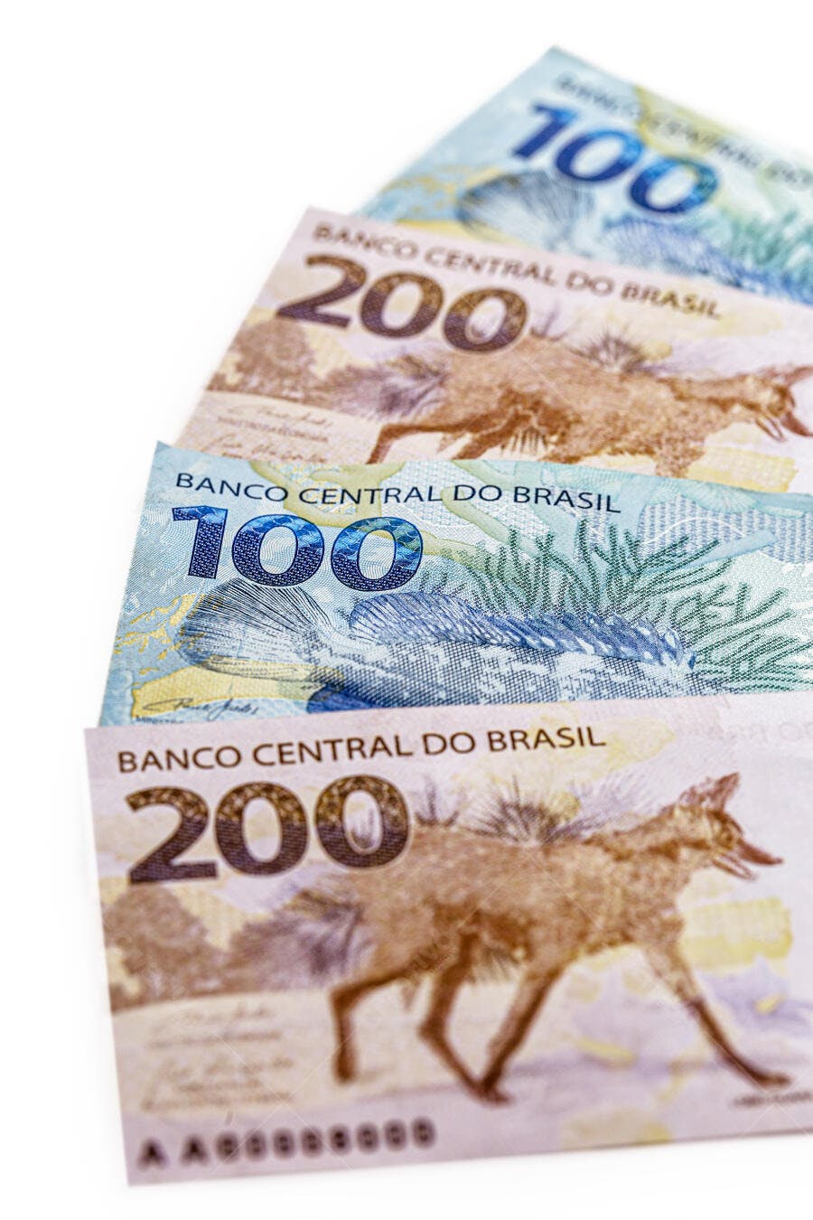 Cédulas de 100 e 200 reais brasileiras com lobo guará e garoupa fundo branco
