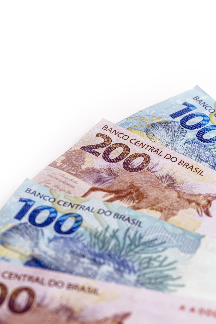Cédulas de Real brasileiro notas de 100 e 200 reais com lobo-guará e garoupa em fundo branco