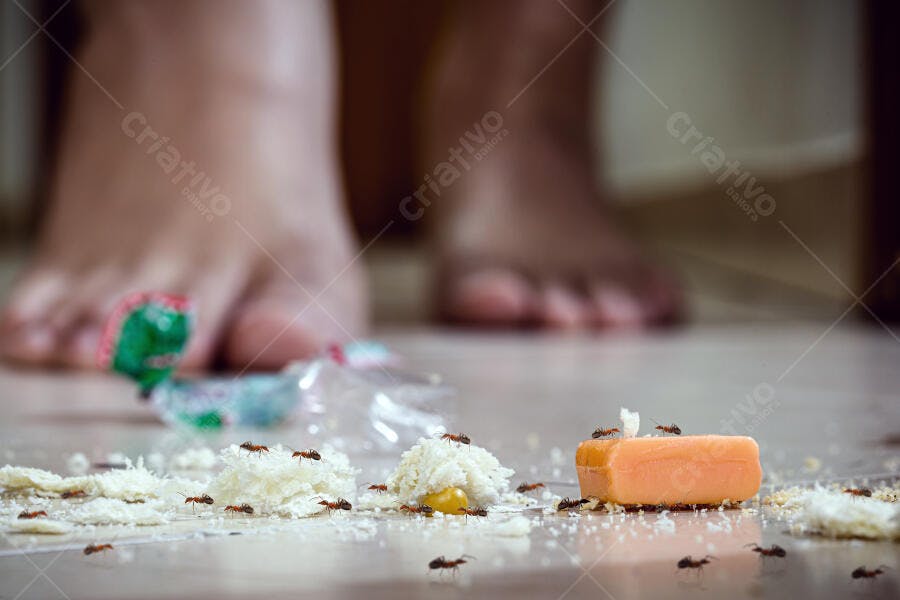 Formigas pretas em migalhas de pão e doces no chão da casa