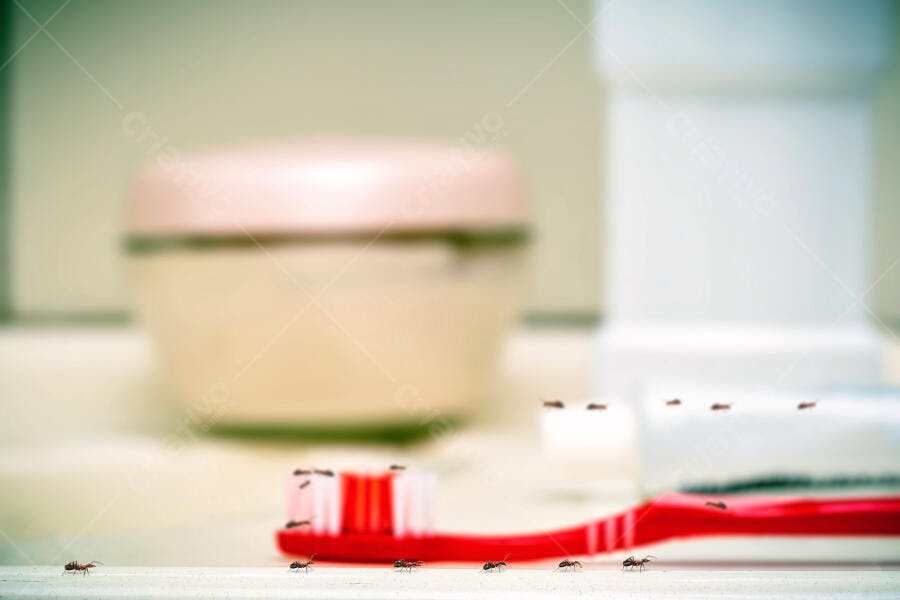 Formigas pretas em escova de dentes vermelha no banheiro infestação