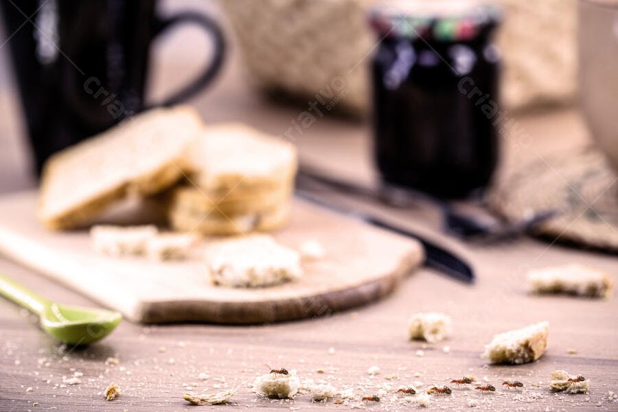 Formigas comendo migalhas de pão em mesa de madeira com café e geleia
