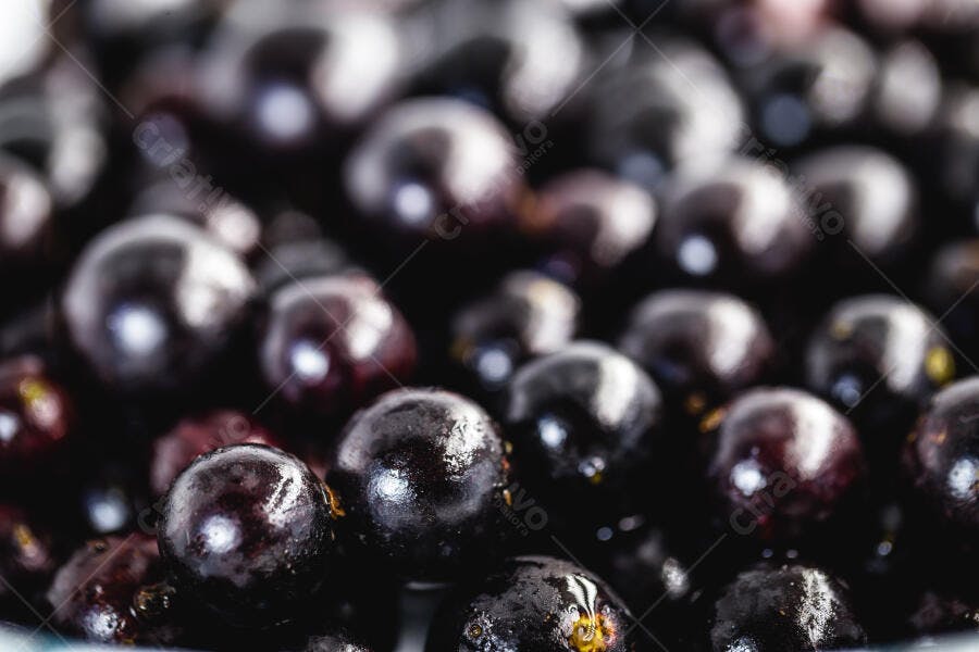 Jabuticabas frescas roxas escuras em close-up macro da fruta brasileira