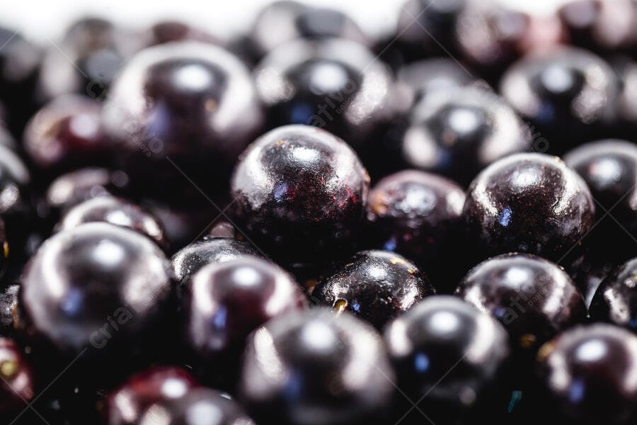 Jabuticabas frescas e maduras em close-up com brilho natural