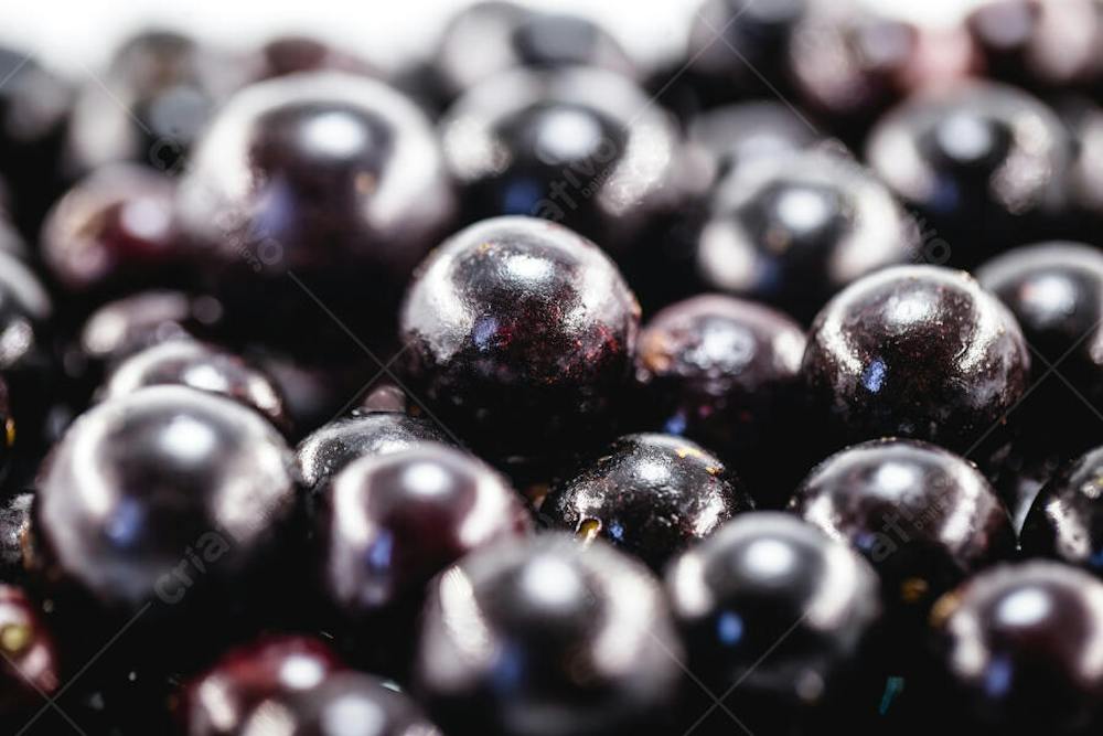 Fresh ripe Brazilian jabuticaba fruits in close-up | Fotos Premium ...