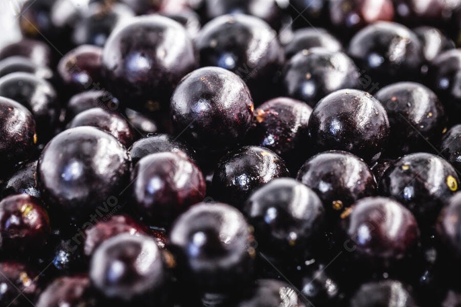 Jabuticabas frescas e maduras em close-up fruta brasileira roxa escura