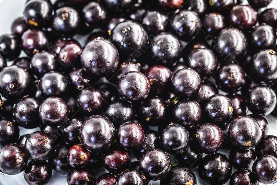 Jabuticabas frescas e maduras em monte de roxo escuro brilhante